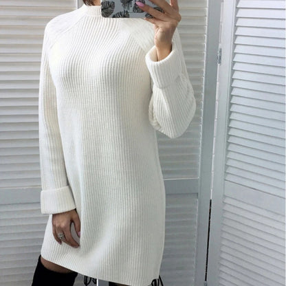 Casual Turtleneck Long Sleeve Dress