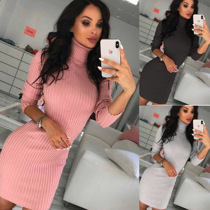 Sexy Turtleneck Slim Long Sleeve Dress