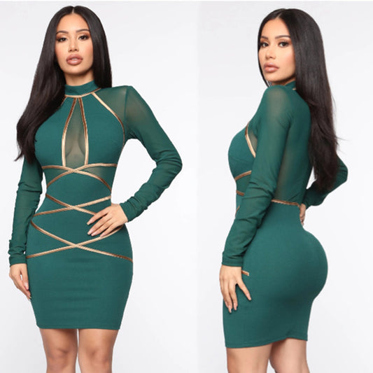 Ladies Long Sleeve Mesh Dress
