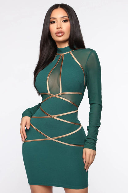 Ladies Long Sleeve Mesh Dress