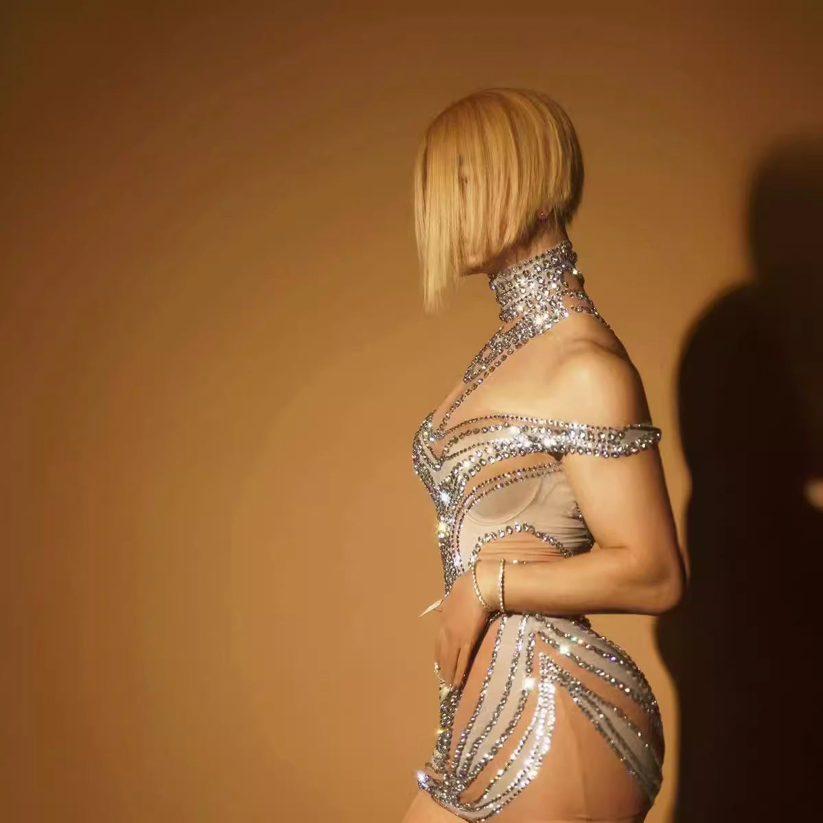 Ladies' Mesh Leisure Mini Sheath Dress