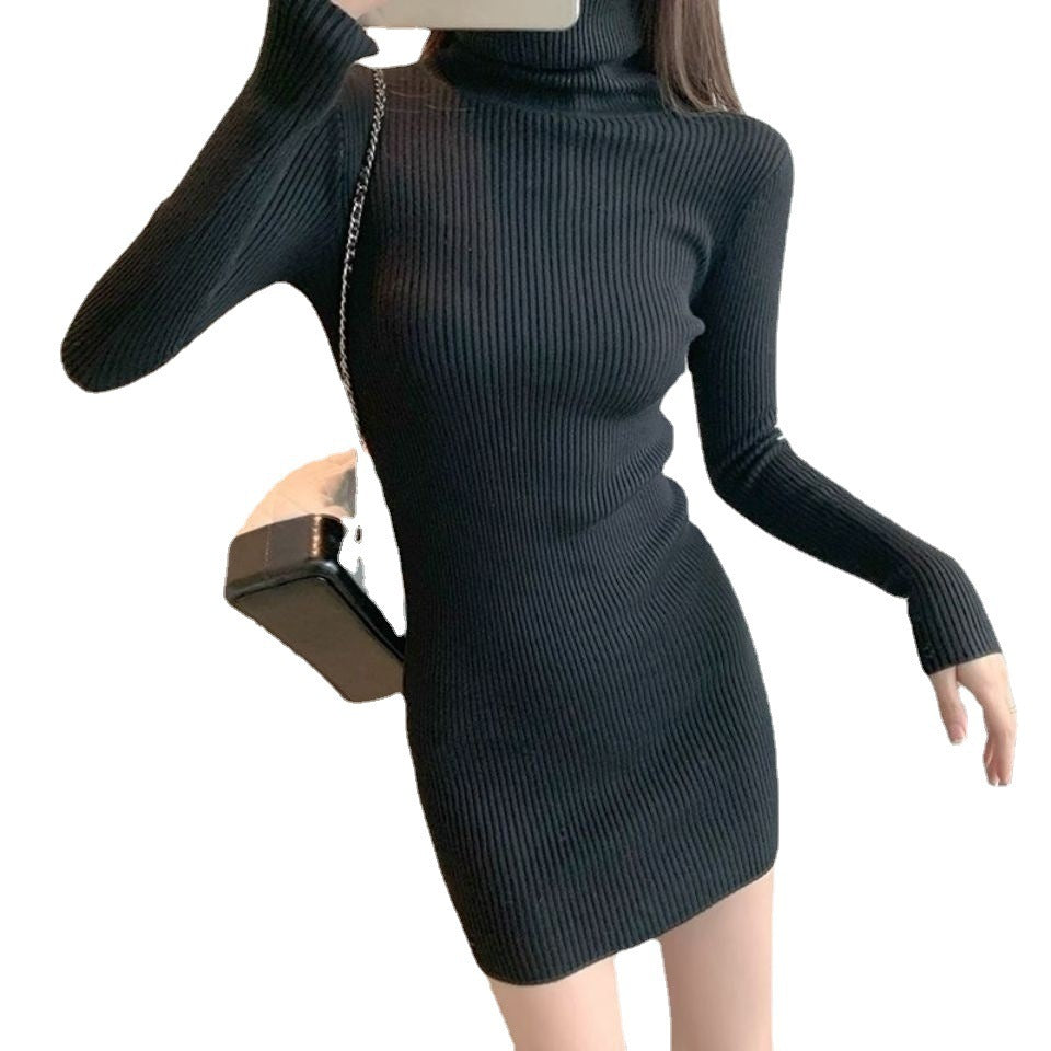 Sexy Turtleneck Slim Long Sleeve Dress