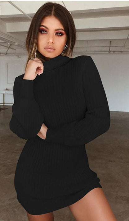 Long sleeve ribbed solid color casual dress