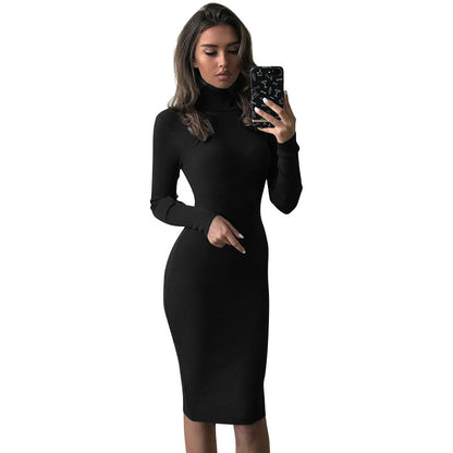 Ladies Fashion Slim Long Sleeve Turtleneck Dress