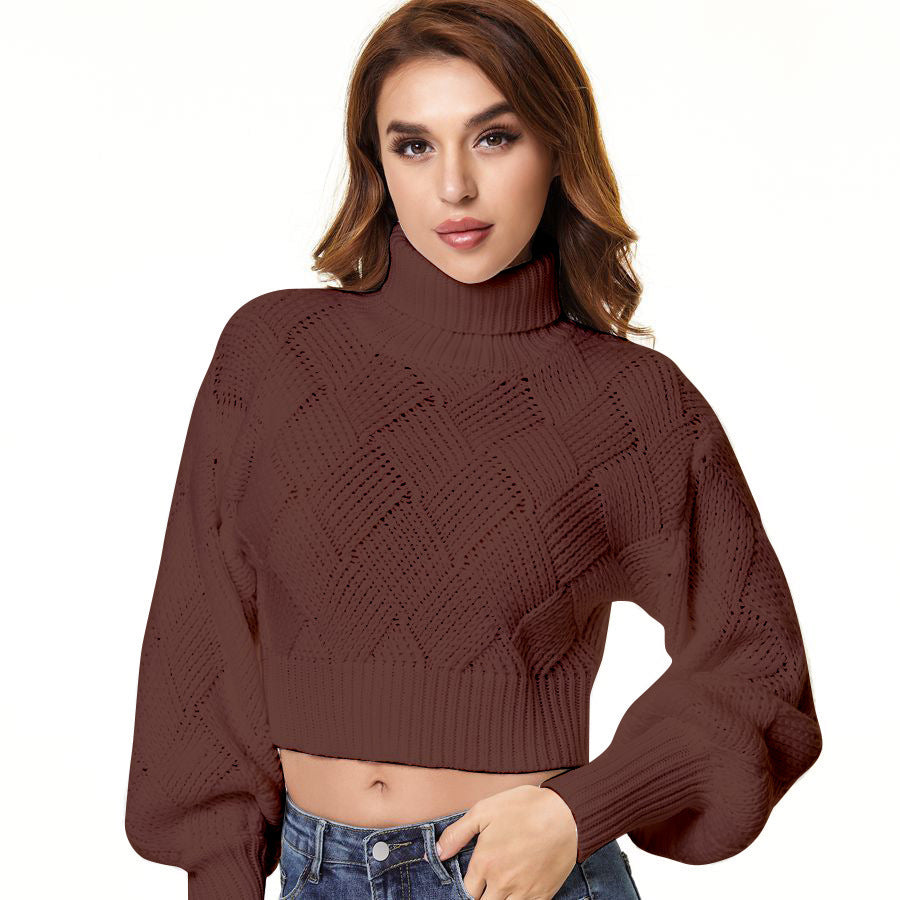 Women's Loose Solid Color Turtleneck Sweater