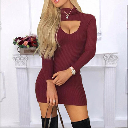 Slim-Fit Solid Color High-Neck Long-Sleeved Dress